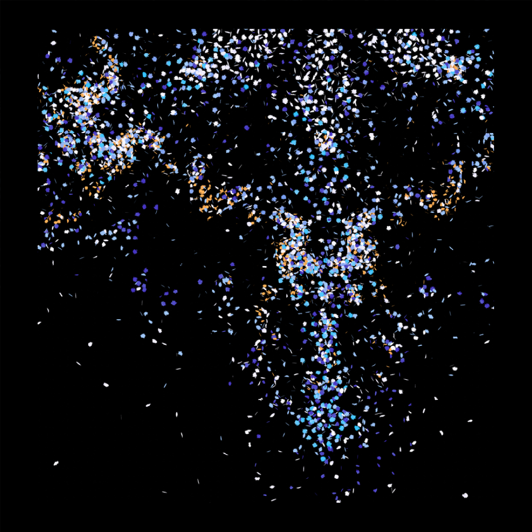 Winter images of snowflakes